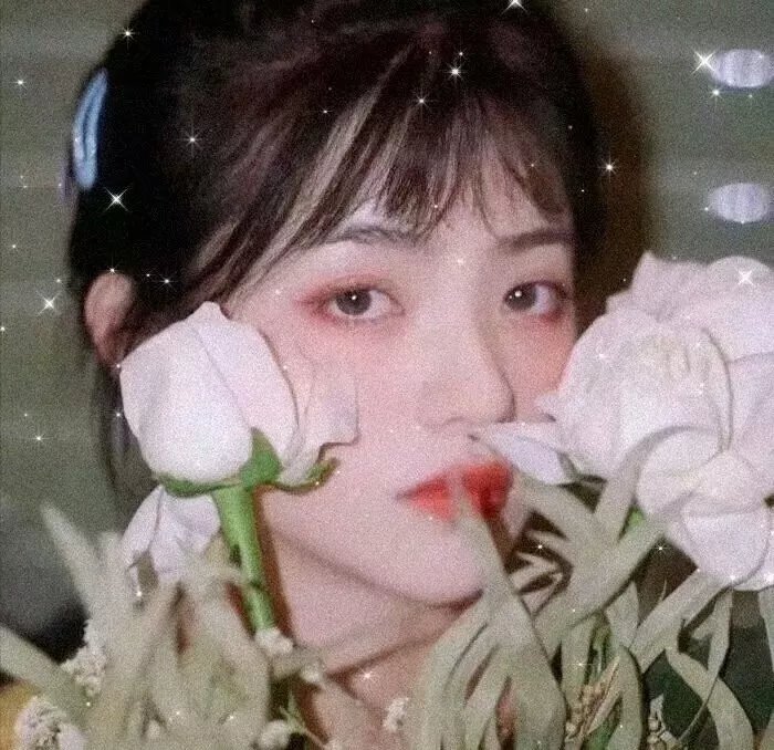 我的爱我的新娘